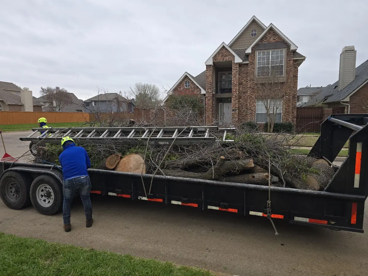 Expert Lot Clearing with proper safety equipment in Prairie View